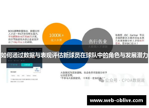 如何通过数据与表现评估新球员在球队中的角色与发展潜力