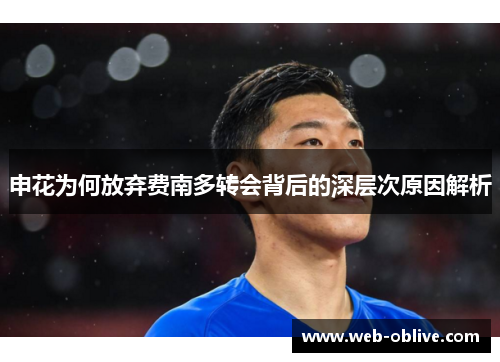 申花为何放弃费南多转会背后的深层次原因解析