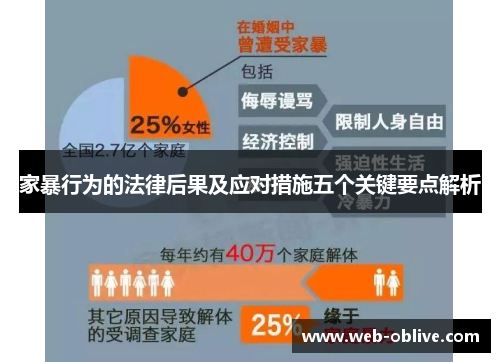 家暴行为的法律后果及应对措施五个关键要点解析