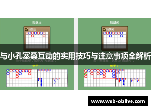与小孔塞桑互动的实用技巧与注意事项全解析