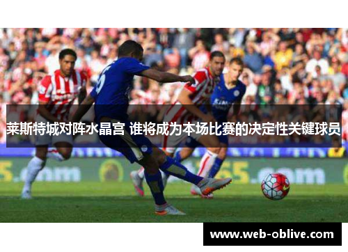 莱斯特城对阵水晶宫 谁将成为本场比赛的决定性关键球员