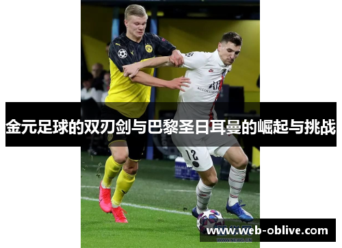 金元足球的双刃剑与巴黎圣日耳曼的崛起与挑战