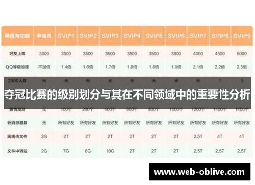 夺冠比赛的级别划分与其在不同领域中的重要性分析